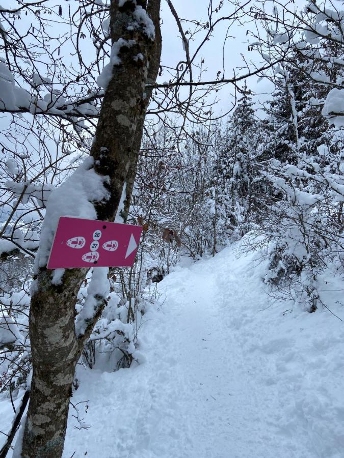 Chalet Soleya 르그랑보르낭 외부 사진